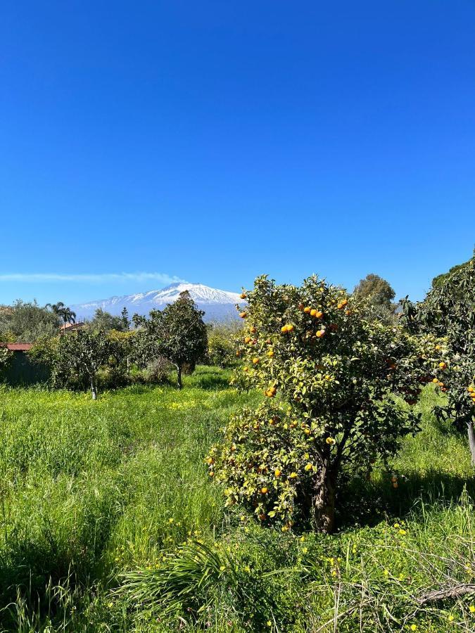 Apartament Casa Dei Fiori Con La Vista A Taormina Schiso Zewnętrze zdjęcie