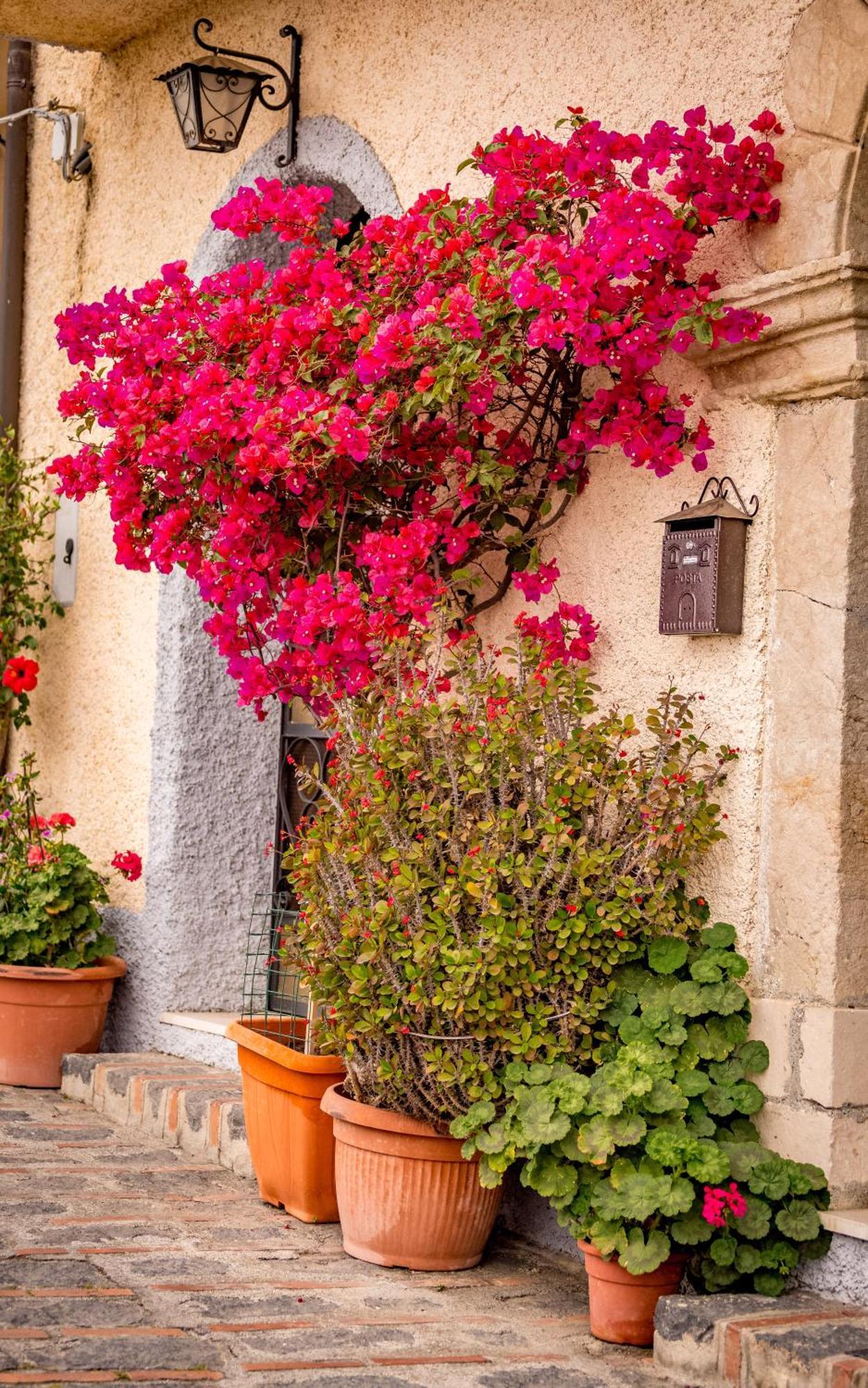 Apartament Casa Dei Fiori Con La Vista A Taormina Schiso Zewnętrze zdjęcie